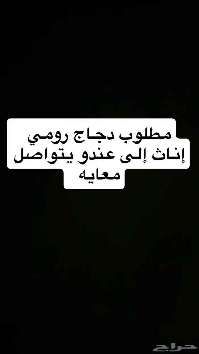 مطلوب دجاج رومي اناث 0