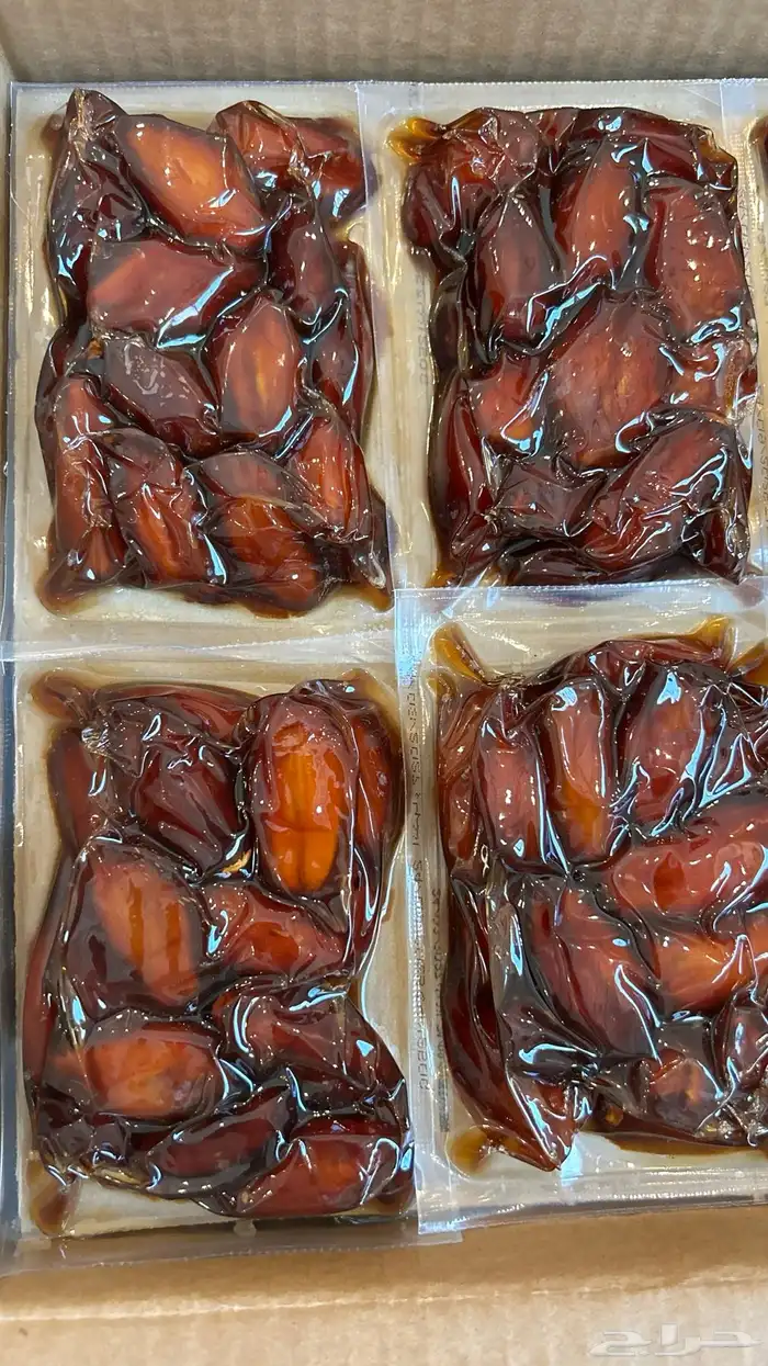 الدمام والخبر 3