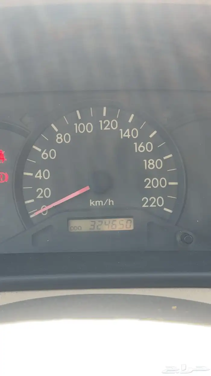 كوريلا 2004 12