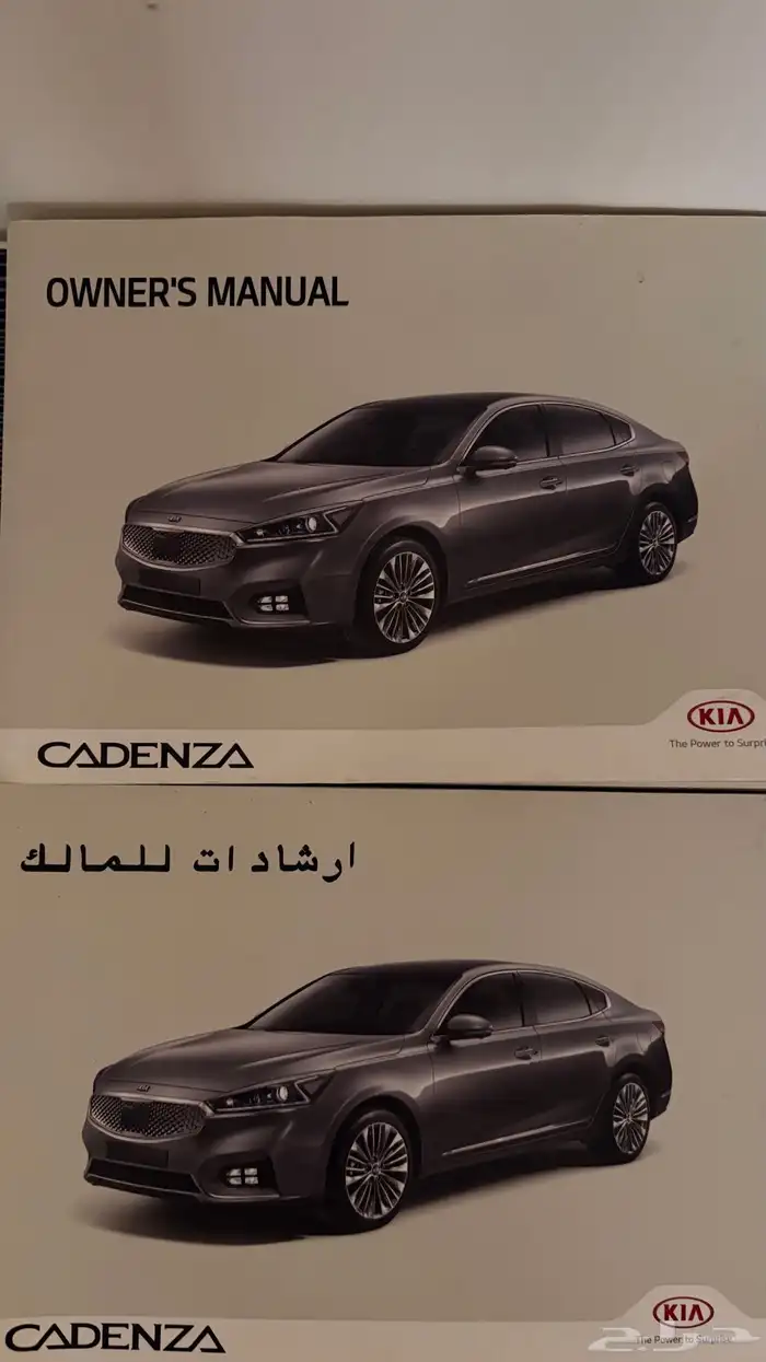 كتلوج كادينزا 19 0
