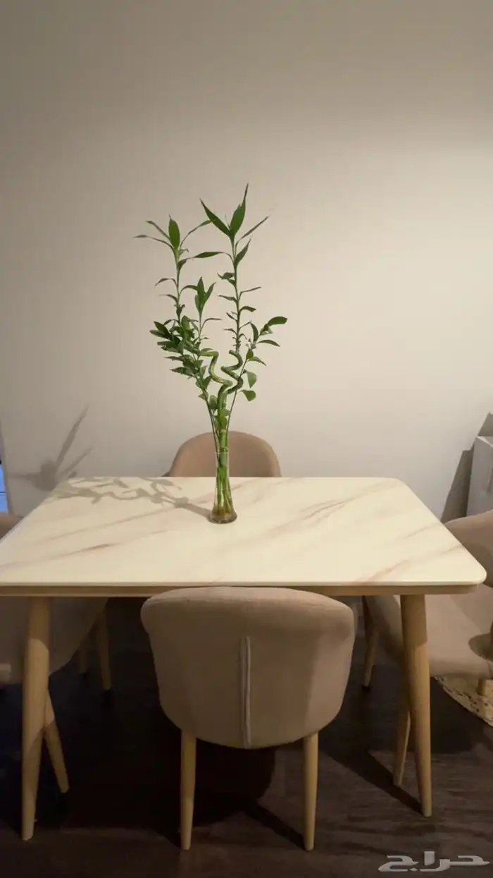 طاولة مع 4كراسي 0