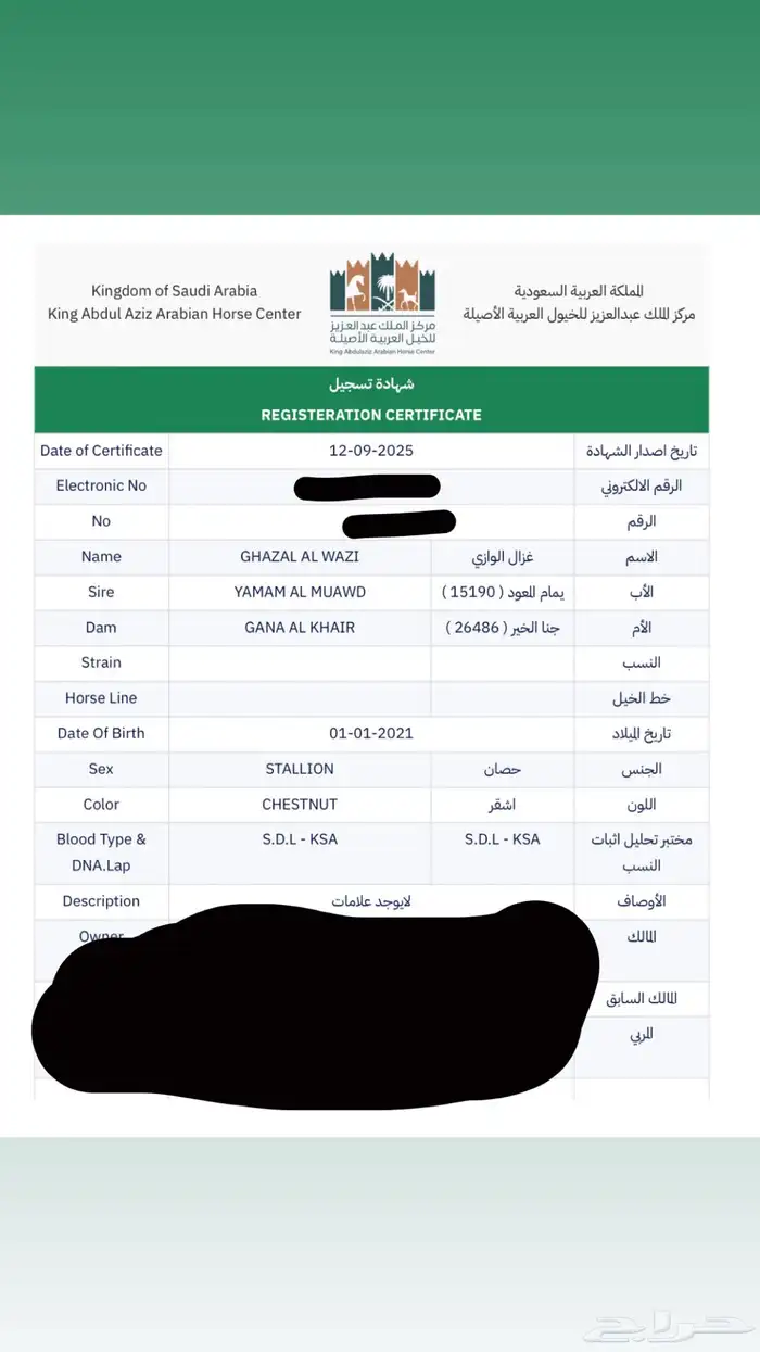 حصان واهو دم قوي 7