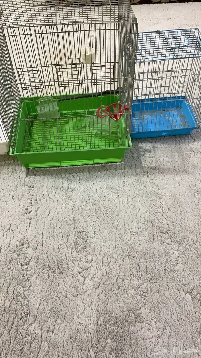شبك طيور 1