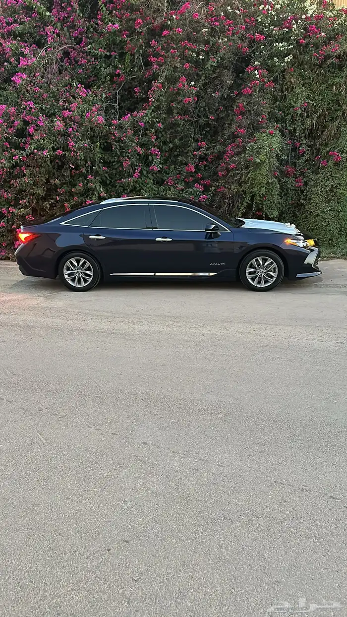 افلون 2022 تورينق 1