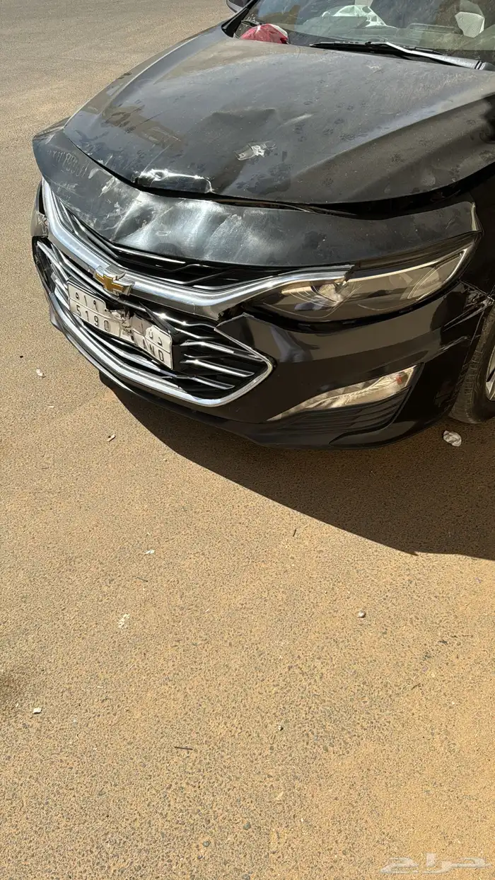 ماليبو مصدومة 2019 4