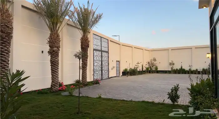 الواديين حي الربوة 16