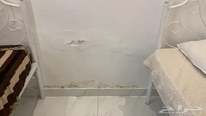 معالجة الرطوبة 4