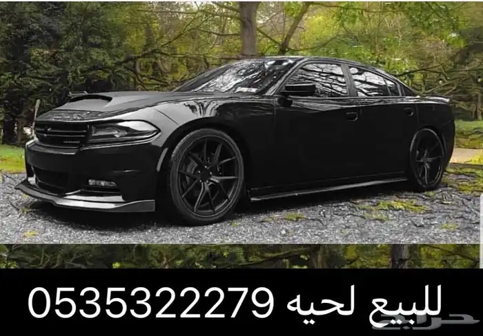 لحية للشارجر جميع المديلات 3