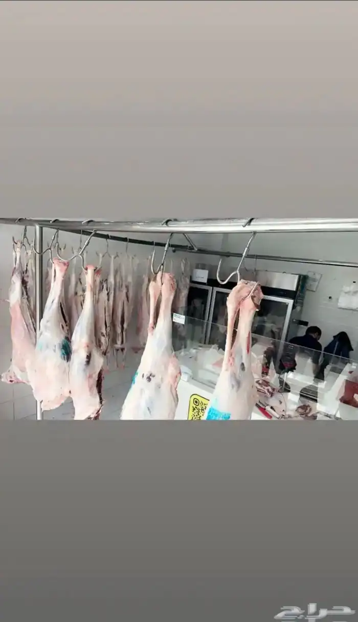 جزار معلم خبره كبيره محترف ف الحاشي والغنم والعجل 1
