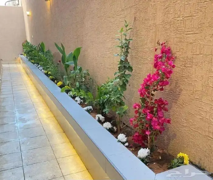 تنسيق حدائق توريد اشجار داخليهو زينه ومثمر 2