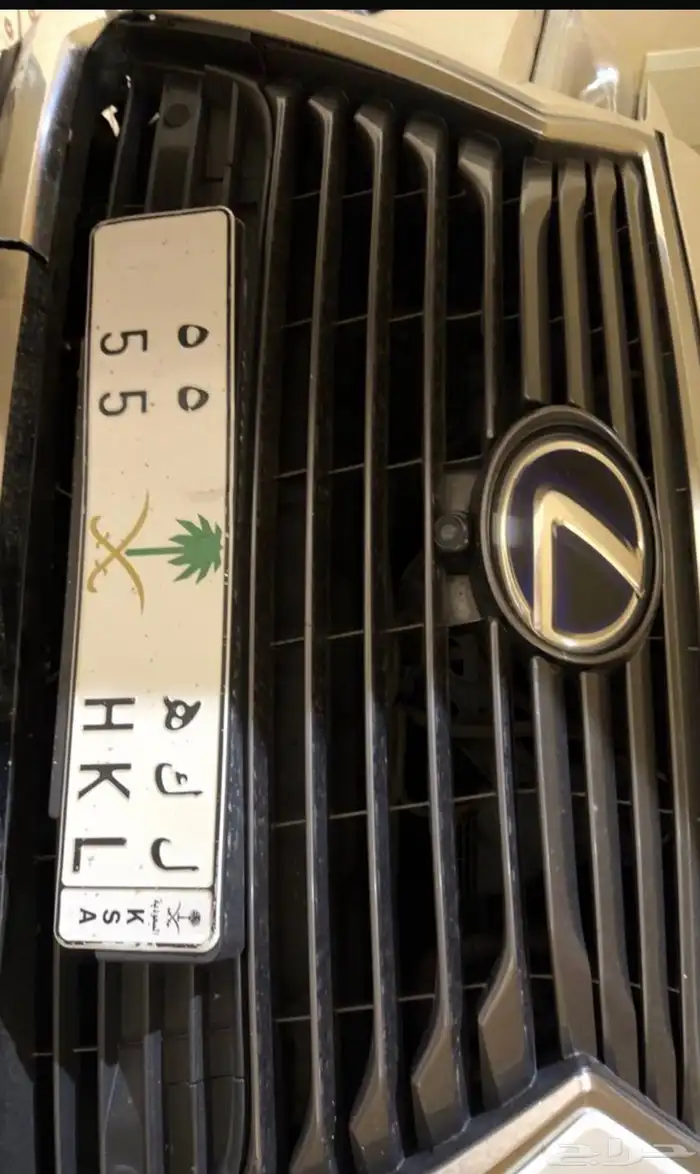 لوحه مميزه للبيع ل ك ه 55 0