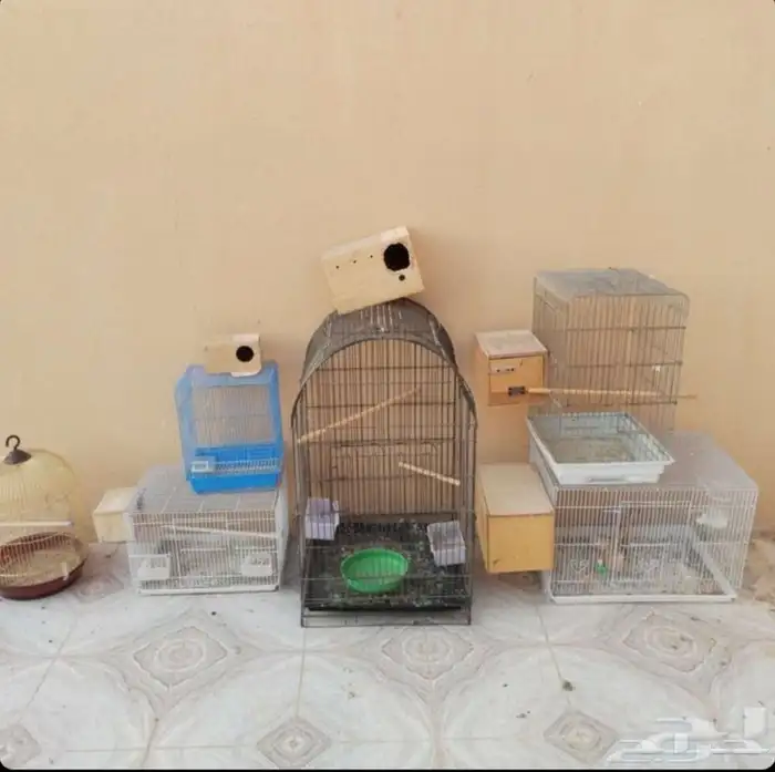 سيكل وقفوص 0