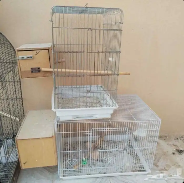 سيكل وقفوص 1