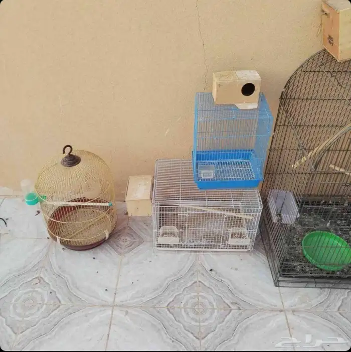 سيكل وقفوص 2