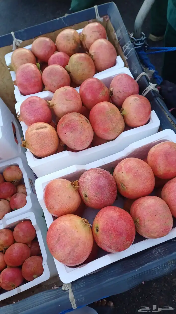 رمان متوفر كميات 0