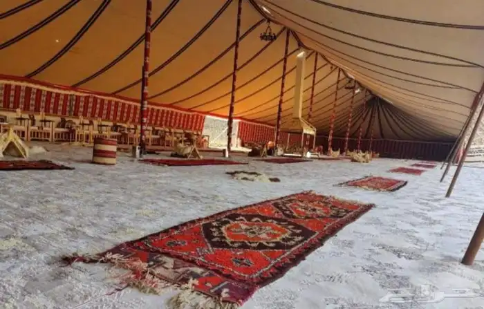 تاجير كنب ملكي vip درجه اولى 13