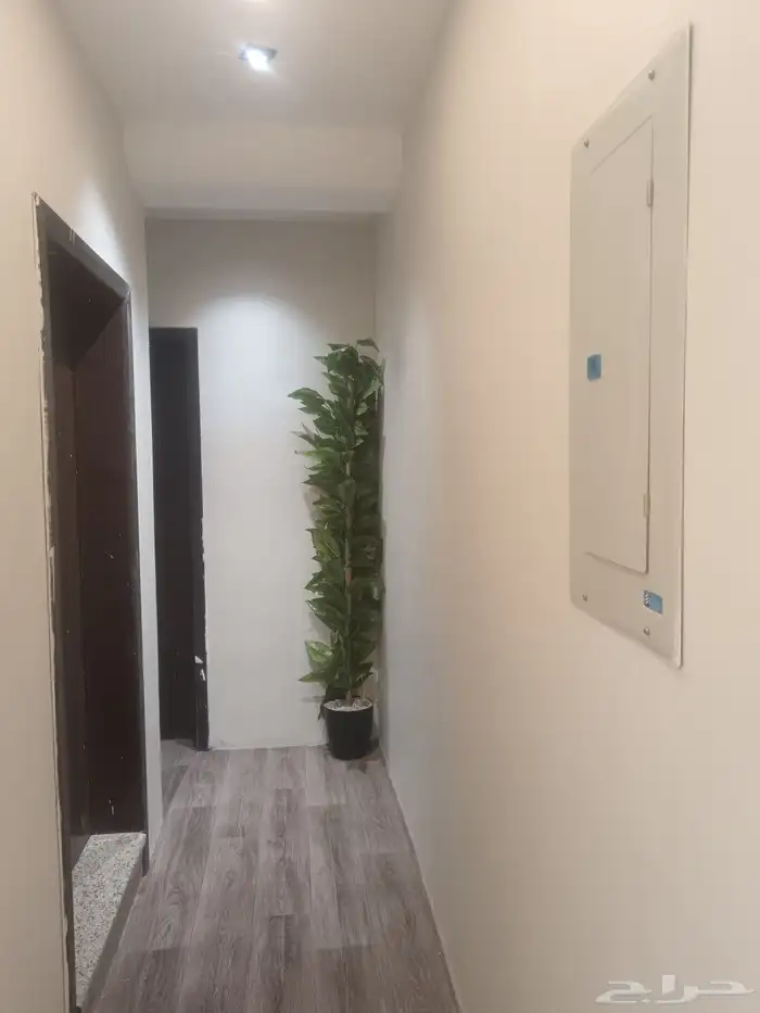انا شغل بويا 1
