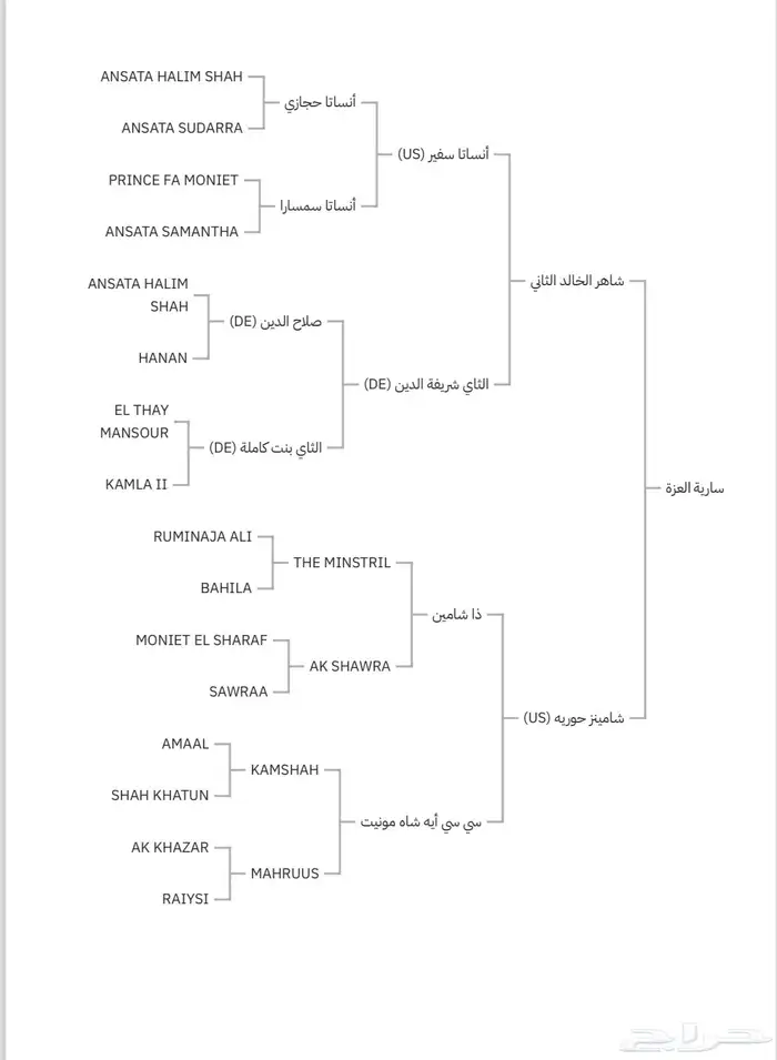 فرس واهو 7