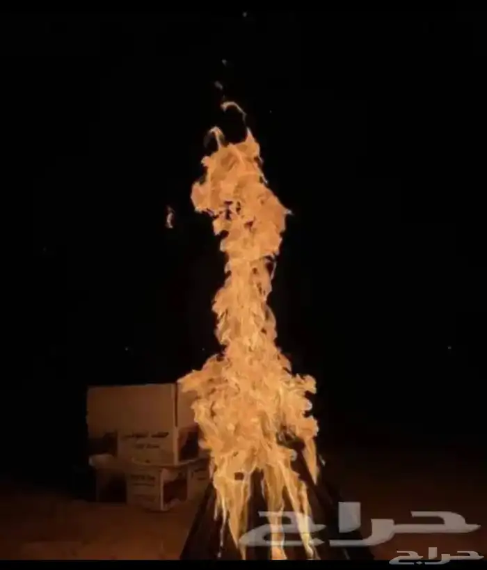 حطب السودس فحم السودس 1