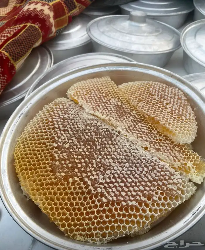 عسل سدر انتاج جديد 0