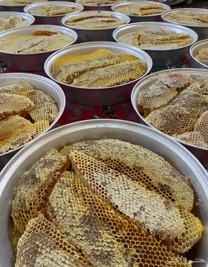 عسل سدر انتاج جديد 2