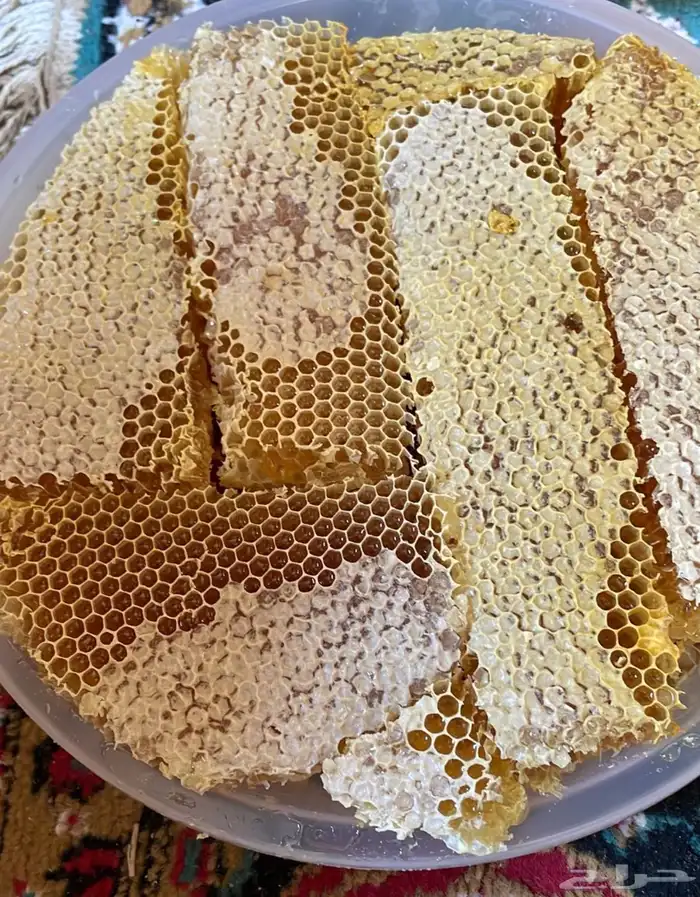عسل سدر انتاج جديد 1