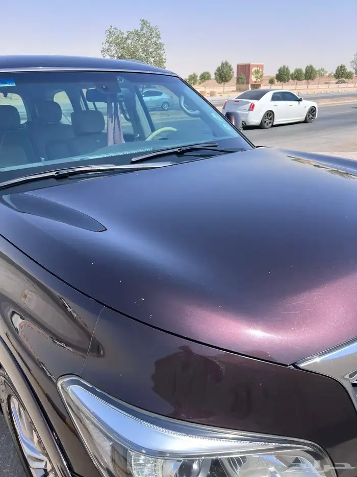 للبيع  انفينيتي QX80 6