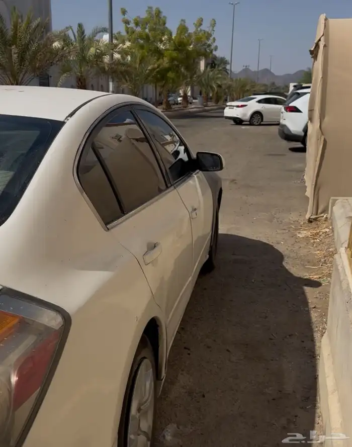 التيما 2011 2