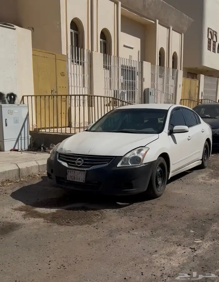 التيما 2011 0