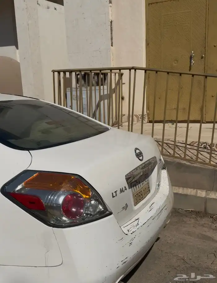 التيما 2011 1