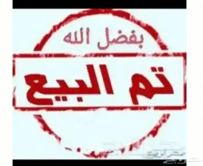 قعود مزيون ( تم البيع) 0