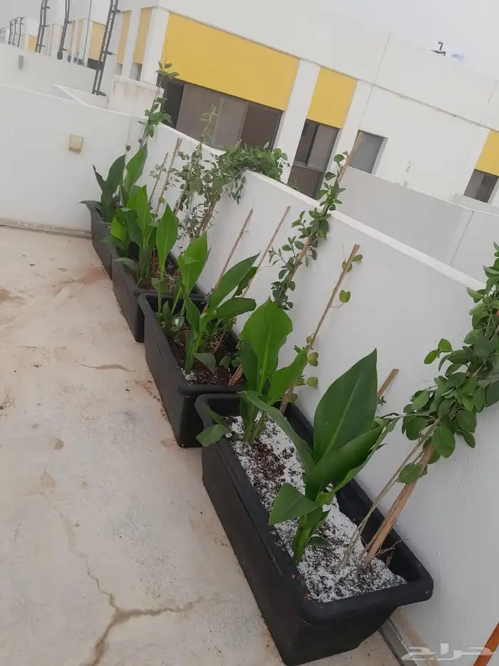 مشتل تنسيق حدائق 6