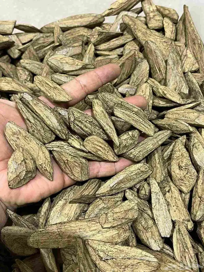 عود مروكي ملكي فاخر 1