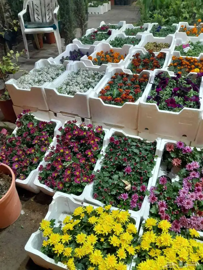 مشتل تنسيق حدائق 7