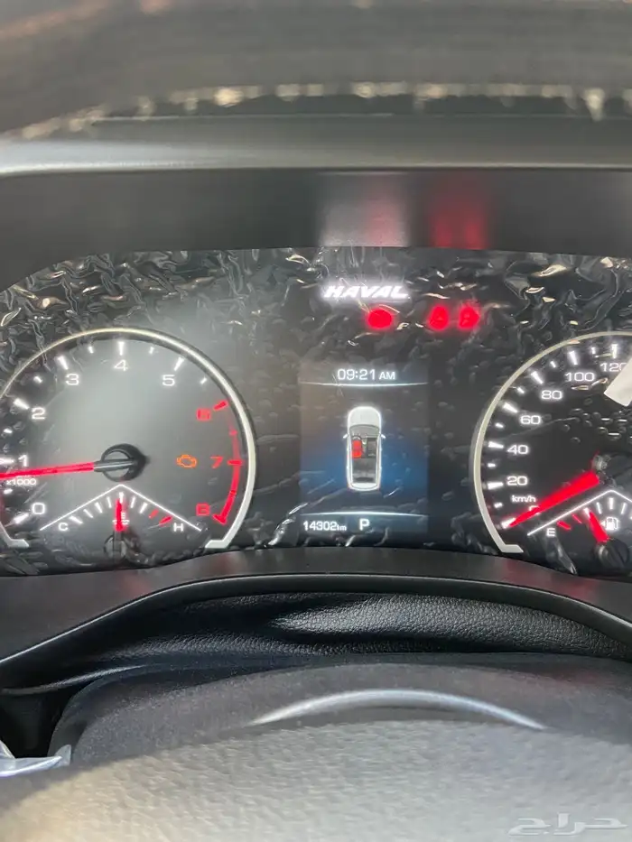 هافال جوليان 2024 9