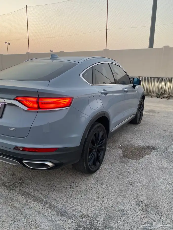 2022 Geely Tugella 4