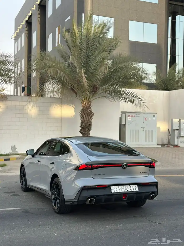 شانجان يوني في 2024 10