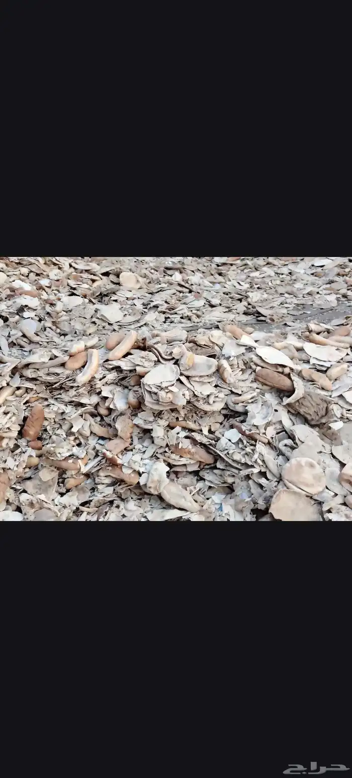 خبز للمواشي 1