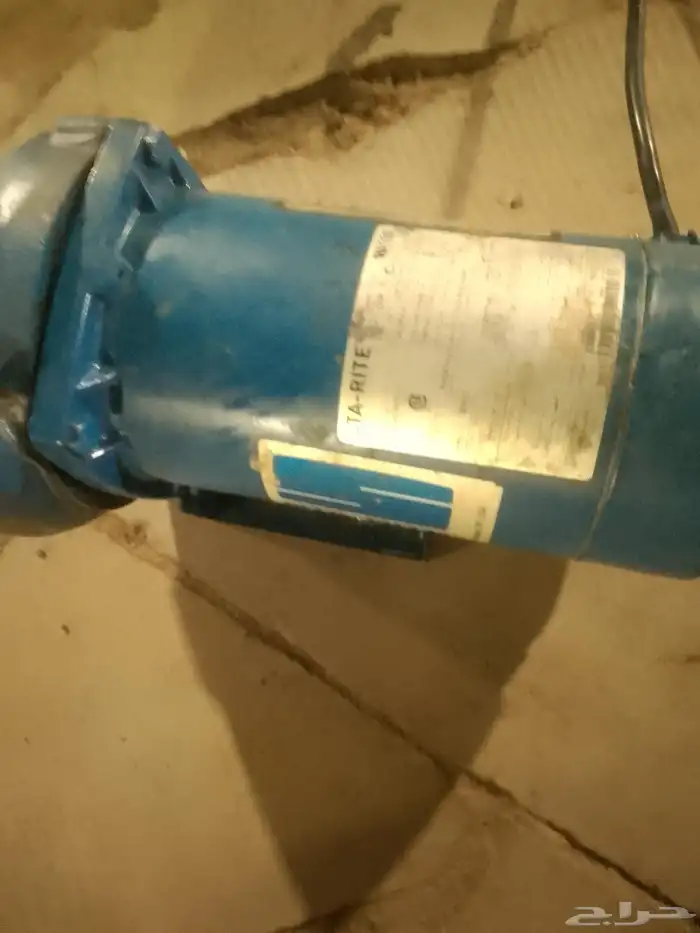 دينمو سمنان ا حصان امريكي 0