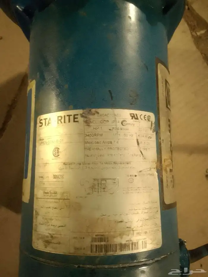 دينمو سمنان ا حصان امريكي 1