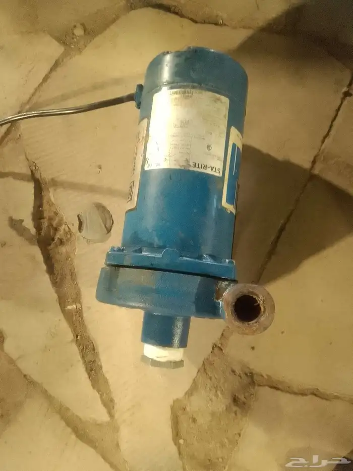 دينمو سمنان ا حصان امريكي 2