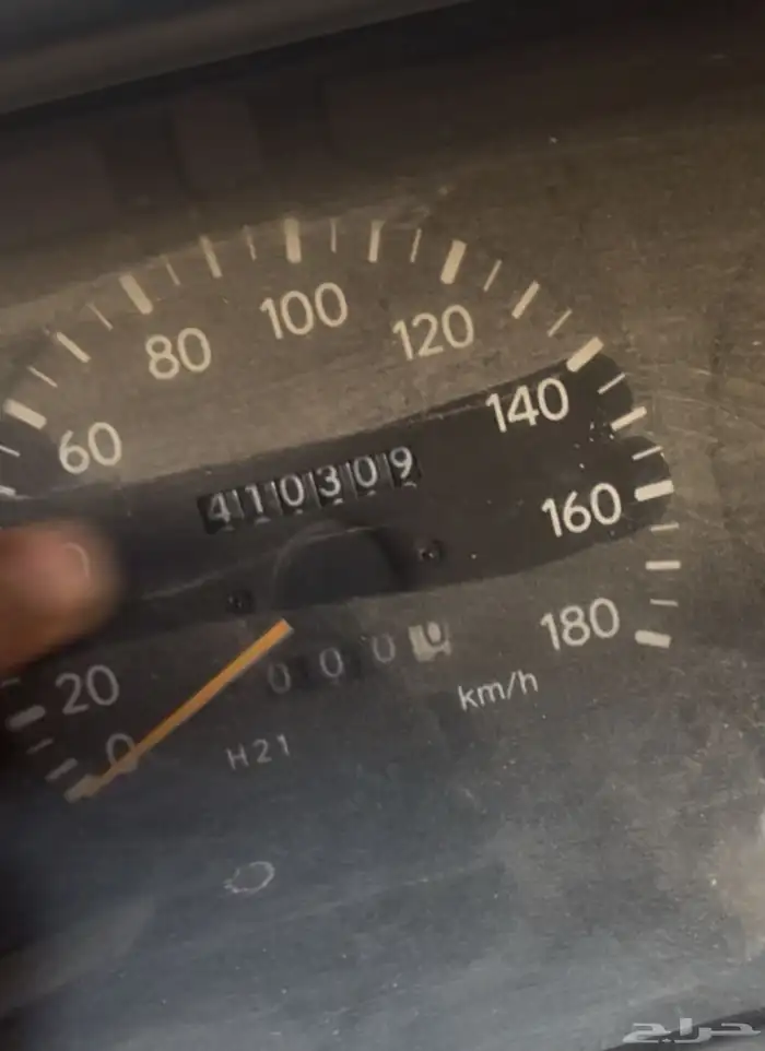 قلوه تهامه 12