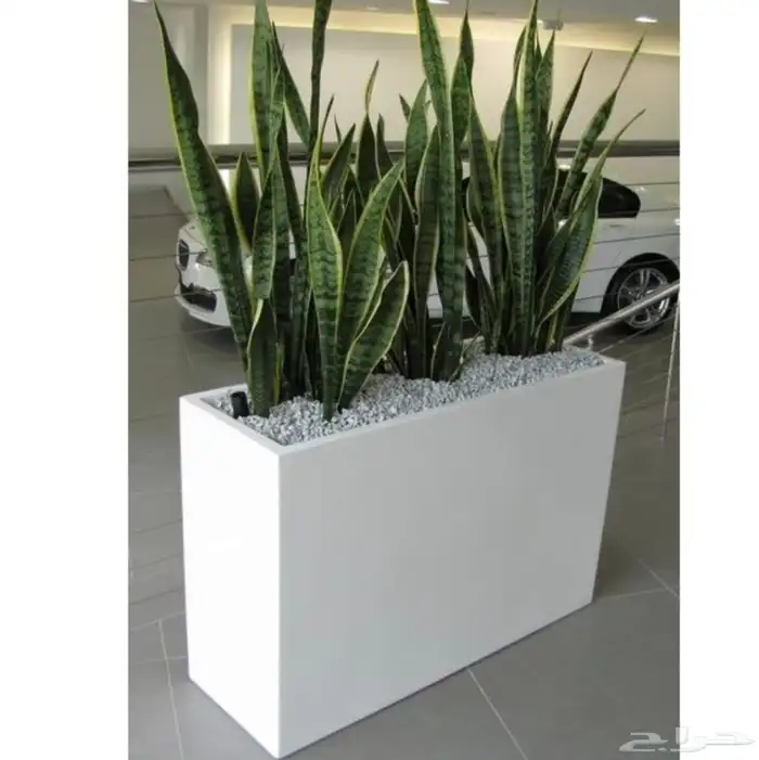 احواض زراعيه ونوافير 4