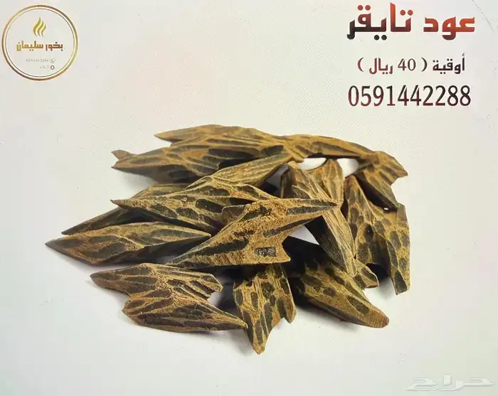بخور تايقر كينامي مروكي 0