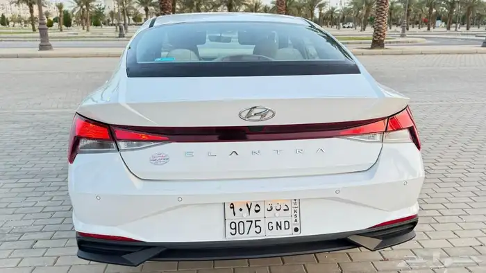 النترا 2021 ممشى 116 8