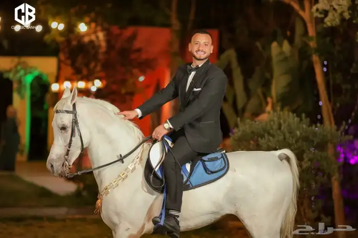 ايواء خيل1000 1