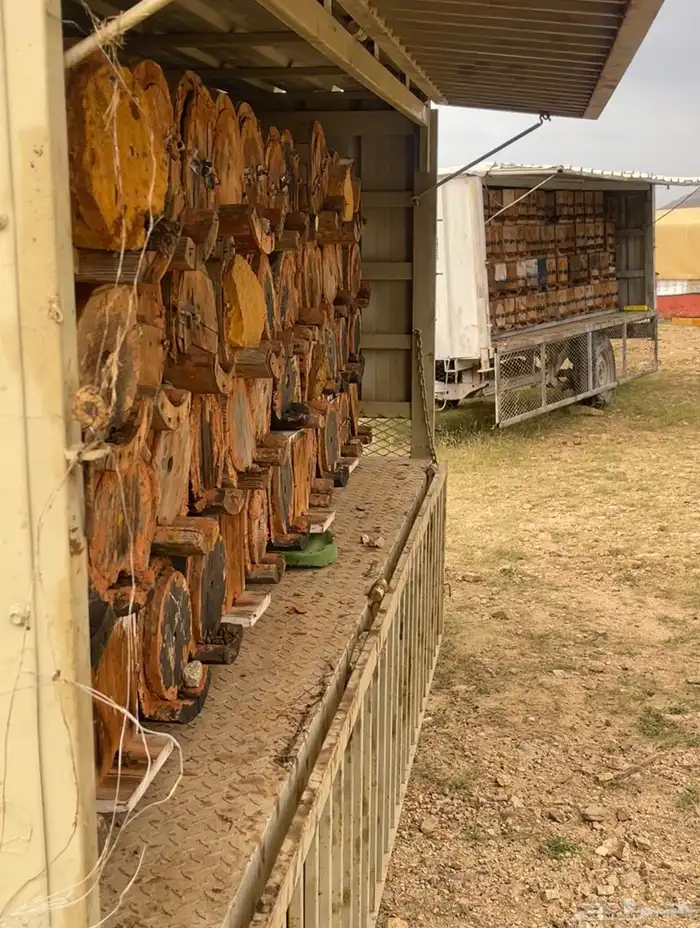 عسل صافي حبلي من منحلي شخصيا 13