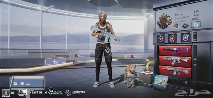 حساب ببجي فخم 0