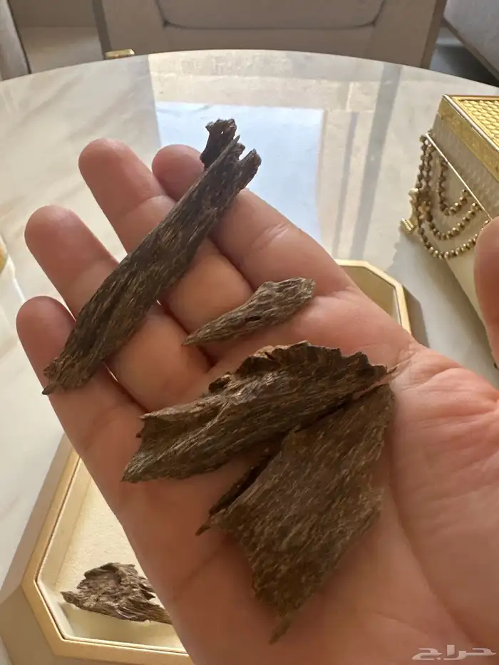 كلمنتان مالينو تربل (تم البيع) 2