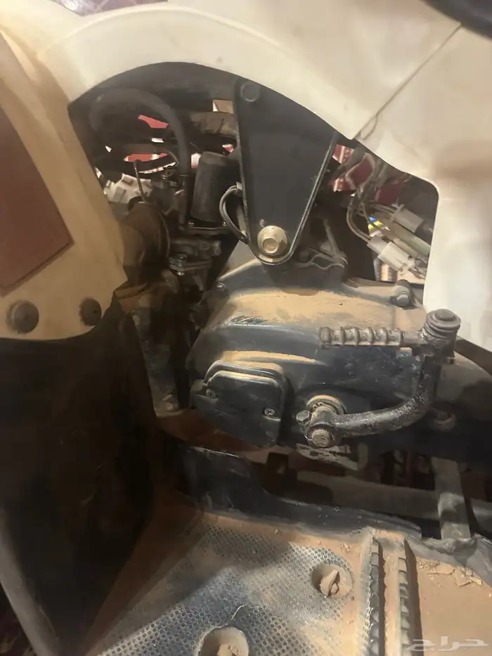 دباب 50 mawa 1